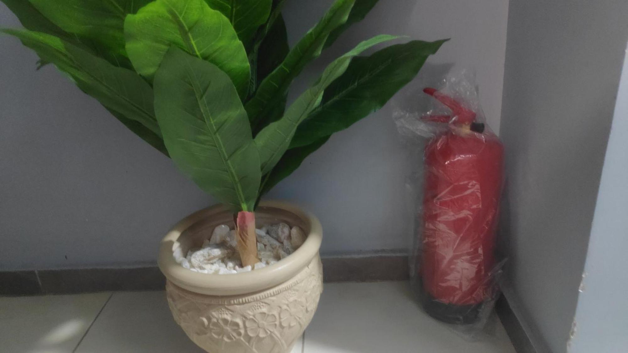 Nile Pyramidal View Apartment 开罗 外观 照片